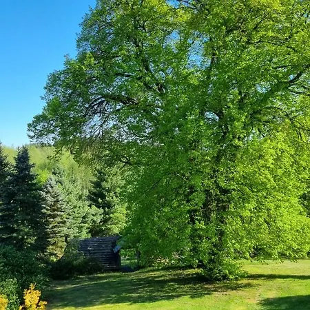 Lesniczowka Nad Jeziorem 农家乐 *