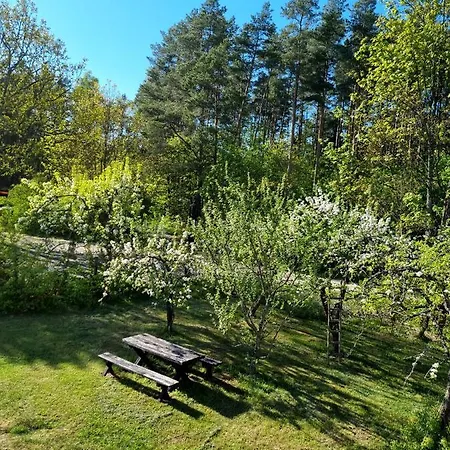 Lesniczowka Nad Jeziorem 农家乐 *