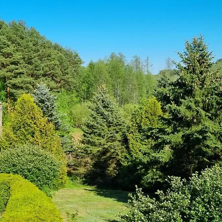 Lesniczowka Nad Jeziorem Zamordeje