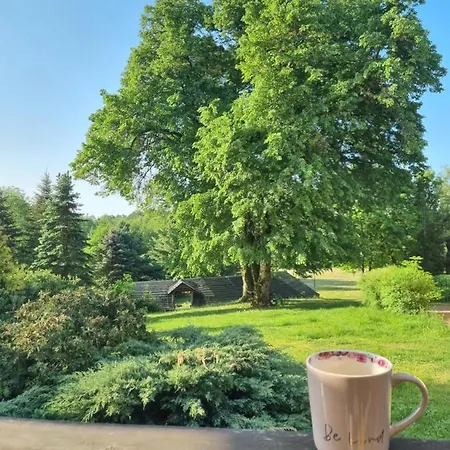 Lesniczowka Nad Jeziorem Farm stay *