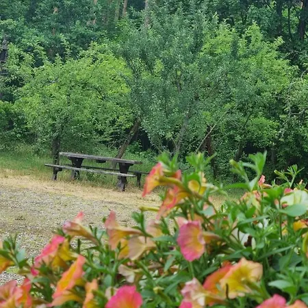 Lesniczowka Nad Jeziorem Zamordeje