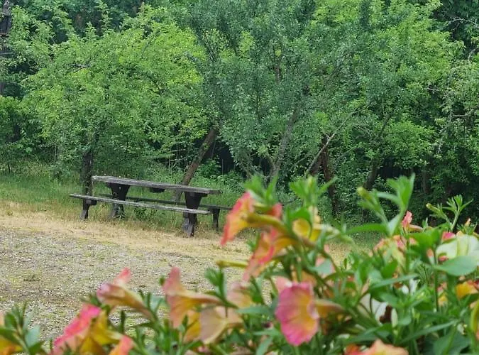 Leśniczówka Nad Jeziorem Zamordeje