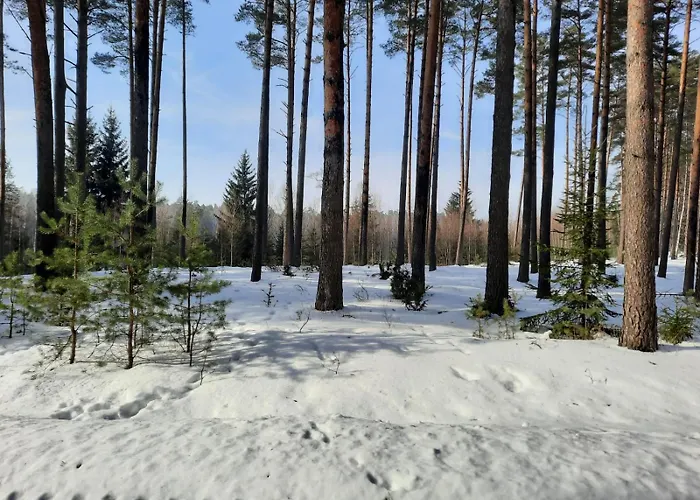 Alojamento de Turismo Rural Leśniczówka Nad Jeziorem Zamordeje